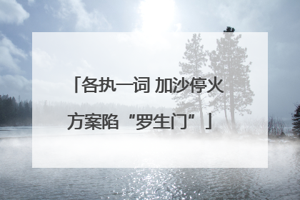 各执一词 加沙停火方案陷“罗生门”