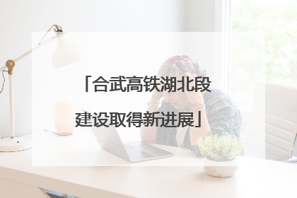 合武高铁湖北段建设取得新进展