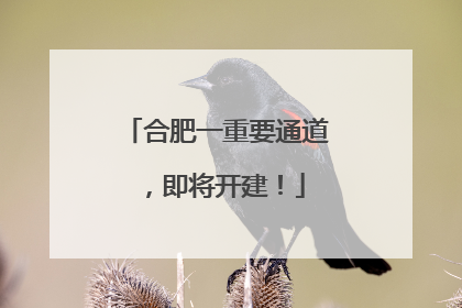 合肥一重要通道，即将开建！