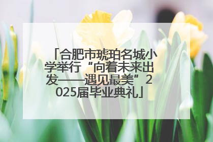 合肥市琥珀名城小学举行“向着未来出发——遇见最美”2025届毕业典礼