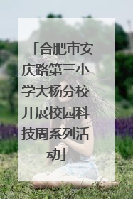 合肥市安庆路第三小学大杨分校开展校园科技周系列活动