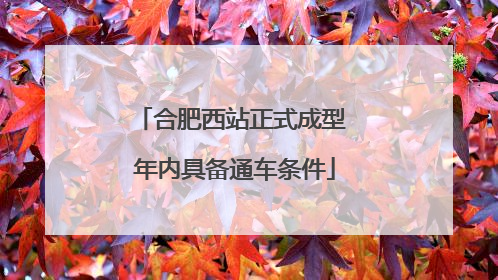 合肥西站正式成型 年内具备通车条件