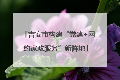 吉安市构建“党建+网约家政服务”新阵地