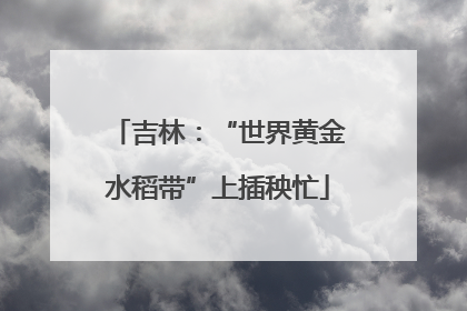 吉林：“世界黄金水稻带”上插秧忙