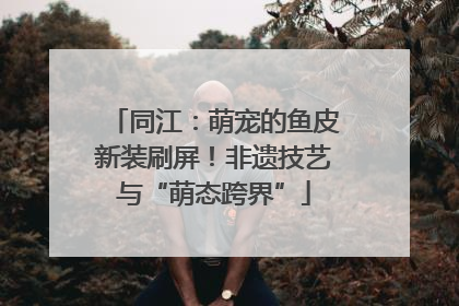 同江：萌宠的鱼皮新装刷屏！非遗技艺与“萌态跨界”