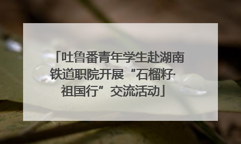 吐鲁番青年学生赴湖南铁道职院开展“石榴籽·祖国行”交流活动