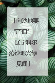 向沙地要“产值”——辽宁科尔沁沙地兴绿见闻