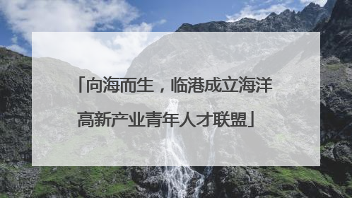 向海而生，临港成立海洋高新产业青年人才联盟