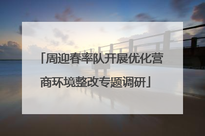 周迎春率队开展优化营商环境整改专题调研