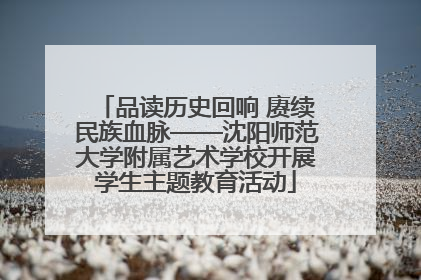 品读历史回响 赓续民族血脉——沈阳师范大学附属艺术学校开展学生主题教育活动