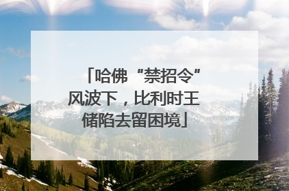 哈佛“禁招令”风波下，比利时王储陷去留困境
