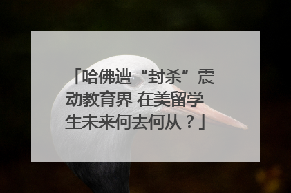 哈佛遭“封杀”震动教育界 在美留学生未来何去何从？