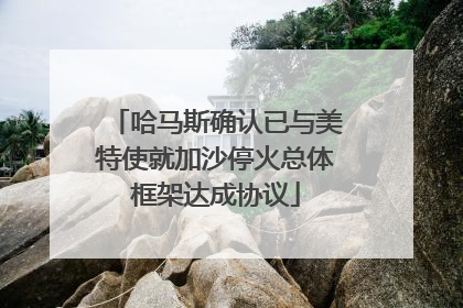 哈马斯确认已与美特使就加沙停火总体框架达成协议