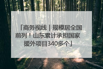 商务视线｜规模居全国前列！山东累计承担国家援外项目340多个