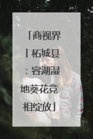 商视界丨柘城县：容湖湿地葵花竞相绽放