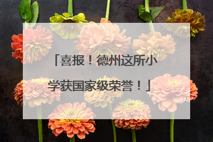 喜报！德州这所小学获国家级荣誉！