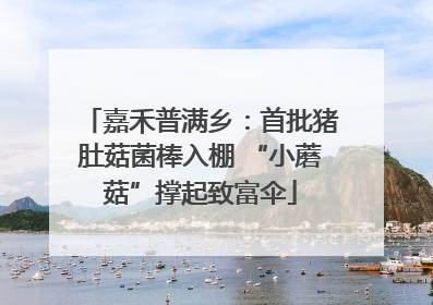 嘉禾普满乡：首批猪肚菇菌棒入棚 “小蘑菇”撑起致富伞