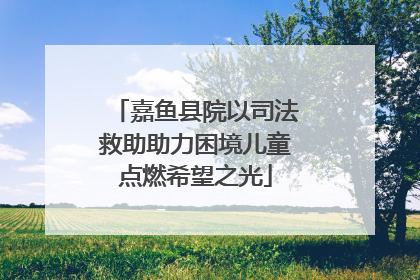 嘉鱼县院以司法救助助力困境儿童点燃希望之光