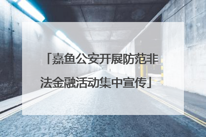嘉鱼公安开展防范非法金融活动集中宣传