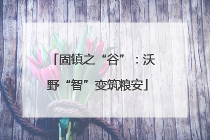 固镇之“谷”：沃野“智”变筑粮安