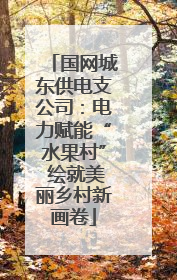 国网城东供电支公司：电力赋能“水果村” 绘就美丽乡村新画卷