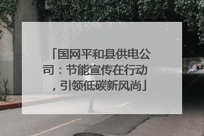 国网平和县供电公司：节能宣传在行动，引领低碳新风尚