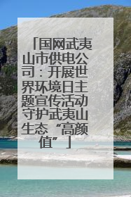 国网武夷山市供电公司：开展世界环境日主题宣传活动守护武夷山生态“高颜值”