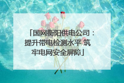 国网衡阳供电公司：提升带电检测水平 筑牢电网安全屏障