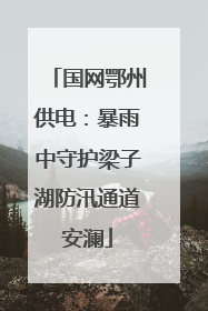 国网鄂州供电：暴雨中守护梁子湖防汛通道安澜