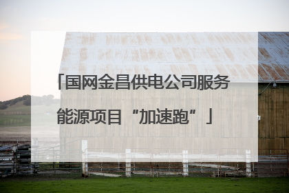 国网金昌供电公司服务能源项目“加速跑”