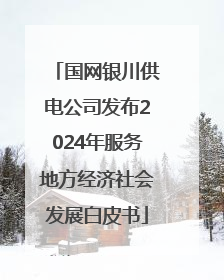 国网银川供电公司发布2024年服务地方经济社会发展白皮书