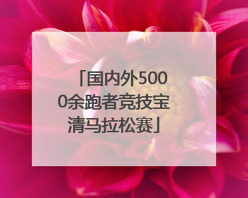 国内外5000余跑者竞技宝清马拉松赛