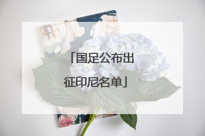 国足公布出征印尼名单