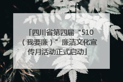 四川省第四届“510（我要廉）”廉洁文化宣传月活动正式启动