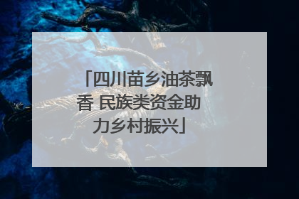 四川苗乡油茶飘香 民族类资金助力乡村振兴