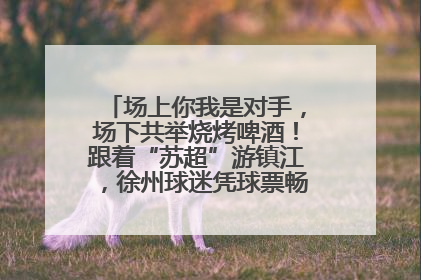 场上你我是对手，场下共举烧烤啤酒！跟着“苏超”游镇江，徐州球迷凭球票畅游名山胜景