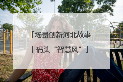 场景创新河北故事丨码头“智慧风”