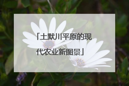 土默川平原的现代农业新图景