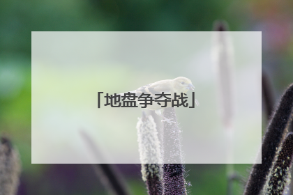 地盘争夺战