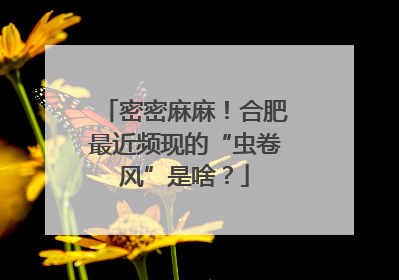 密密麻麻！合肥最近频现的“虫卷风”是啥？