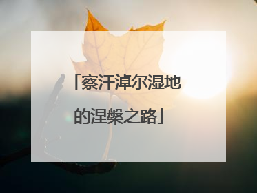 察汗淖尔湿地的涅槃之路