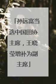 孙远富当选中国田协主席，王晓莹增补为副主席