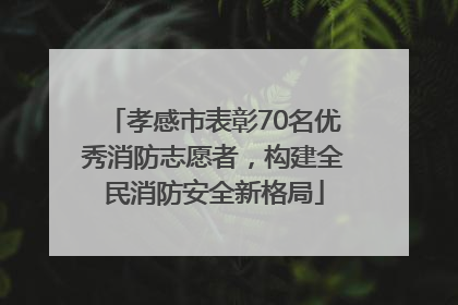 孝感市表彰70名优秀消防志愿者，构建全民消防安全新格局