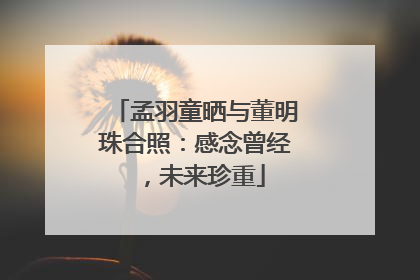 孟羽童晒与董明珠合照：感念曾经，未来珍重