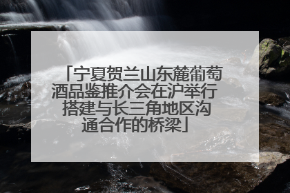 宁夏贺兰山东麓葡萄酒品鉴推介会在沪举行 搭建与长三角地区沟通合作的桥梁