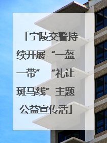 宁陵交警持续开展“一盔一带”“礼让斑马线”主题公益宣传活