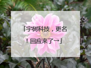 宇树科技，更名！回应来了→