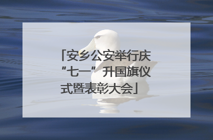安乡公安举行庆“七一”升国旗仪式暨表彰大会