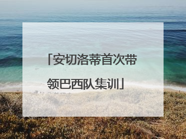 安切洛蒂首次带领巴西队集训