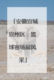 安徽宣城宣州区：篮球赛场展风采